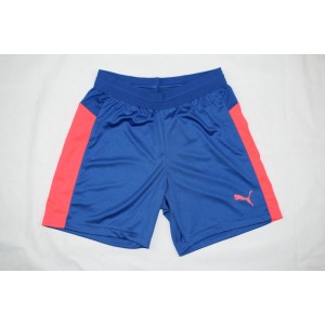 Къси гащи PUMA IT EVOTRG JR SHORTS
